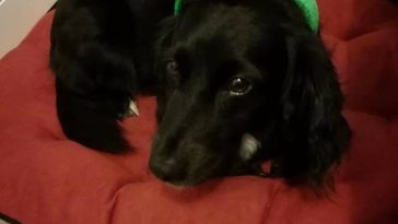 Idemeprerobiťkuchyňu