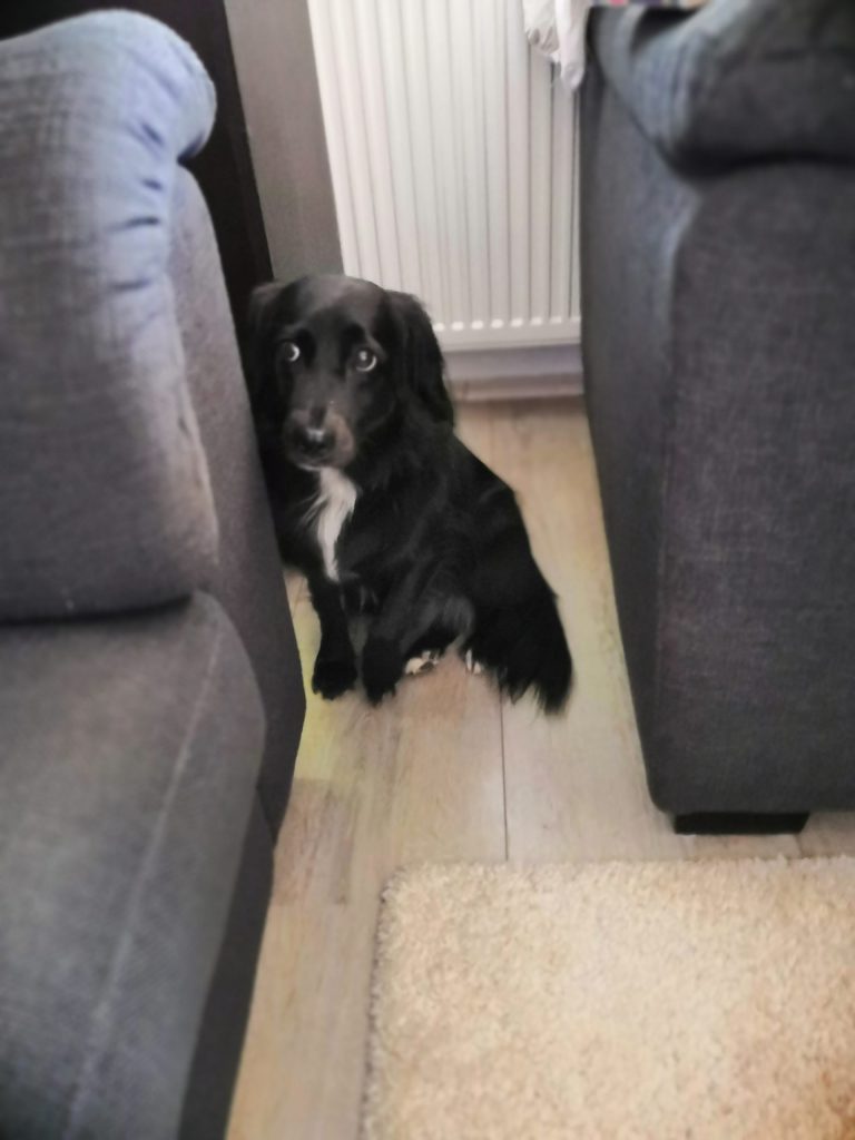 oči